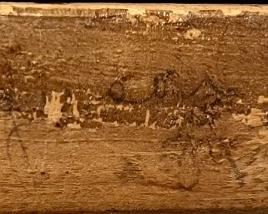 SIGNATURE ON REVERSE…LOOKS LIKE “ FERGUSON, R ‘84” 