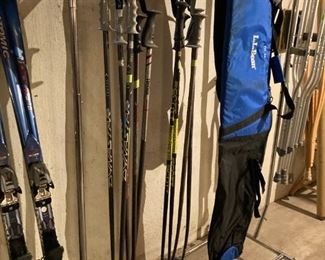 Ski detail, ski travel bag