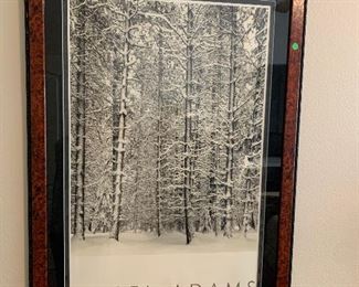 Ansel Adams - "Pine Forest In The Snow"