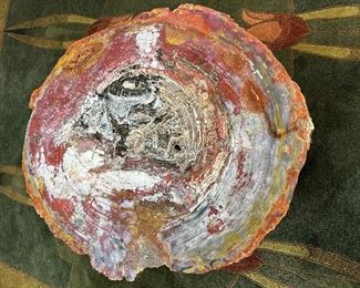Closer look at the amazing PETRIFIED WOOD Table!