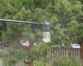 Edison lights with solar control
