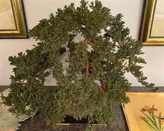 Large artificial bonsai tree in planter/pot.