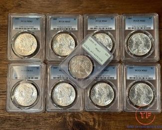 Graded MORGAN Silver Dollars