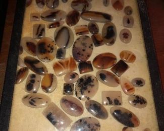 RARE FAMILY COLLECTION OF POLISHED FOSSILED ROCK SELECTIONS
