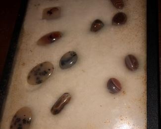 RARE FAMILY COLLECTION OF POLISHED FOSSILED ROCK SELECTIONS