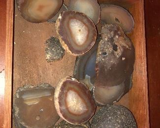 RARE FAMILY COLLECTION OF POLISHED FOSSILED ROCK SELECTIONS