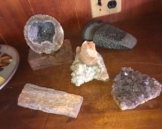 RARE FAMILY COLLECTION OF POLISHED FOSSILED ROCK SELECTIONS