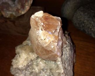 RARE FAMILY COLLECTION OF POLISHED FOSSILED ROCK SELECTIONS