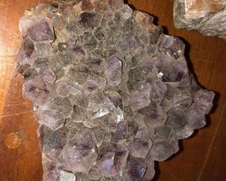 RARE FAMILY COLLECTION OF POLISHED FOSSILED ROCK SELECTIONS