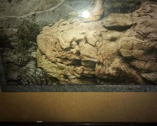 Close Up View Of Circa 1905 Rare Native American Woodward & Tiernan PTG Co. St. Louis Original Glass & Frame, Embossed 3 D