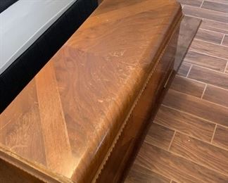 Beautiful LANE Footlocker