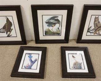 1246	BIRD PRINTS, LOT OF 5, FRAMED AND MATTED INCLUDING BALD EAGLE AND OWL, LARGEST APPROXIMATELY 21 IN X 25 IN
