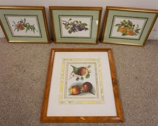 1255	FRUIT PRINTS, LOT OF 4, FRAMED, LARGEST APPROXIMATELY 19 IN  X 23 IN
