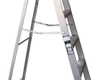 Aluminum 6 Ft Ladder