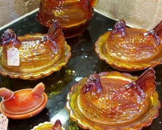 Imperial marigold hens on nest