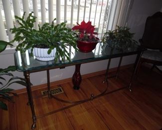 Metal and glass sofa table, would make a great bar area, or serving area too.  And yes, the live plants are also for sale as well