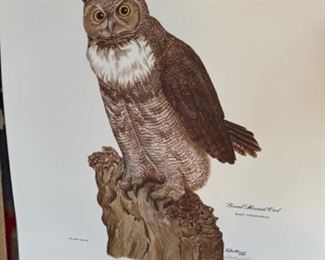 Great Horned Owl by E.Dudley Williams