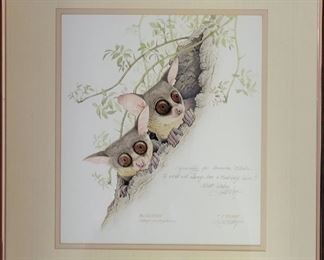 TJ Bishop "Bushbabies" framed Original watercolor 17 x 19