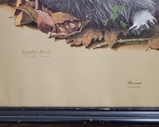 Charles Frace signed raccoon print 26 x 24  No glass in frame