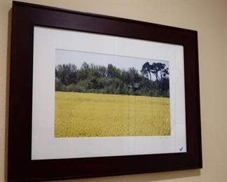 Colorful Framed Art Picture 