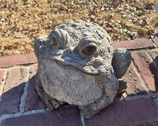 concrete toad