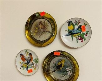 Bird Plates 