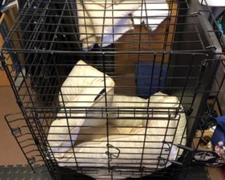 Dog crate and dog bed $25