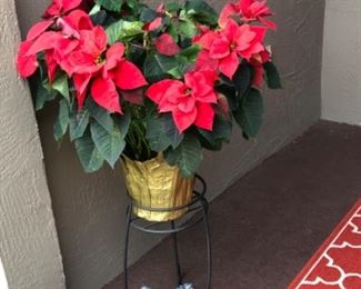 Plant stand with Poinsettias (2)
$20 each.  
Dog. SOLD