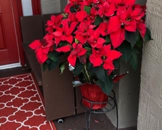 Plant stand with Poinsettias