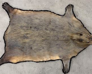 CAPYBARA SKIN