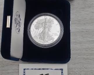 silver coin