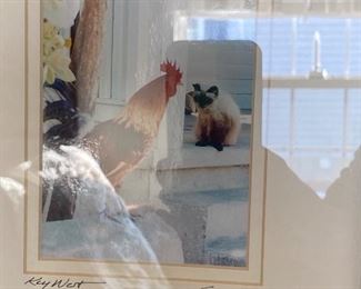 GORGEOUS WATERCOLOR OF A ROOSTER AND SIAMESE CAT FROM KEY WEST/ARTIST IS SULLIVAN 
