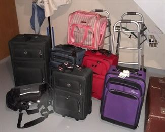 Travel carrying bags