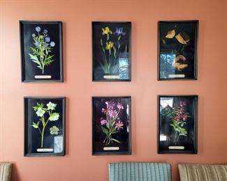 Floral framed art