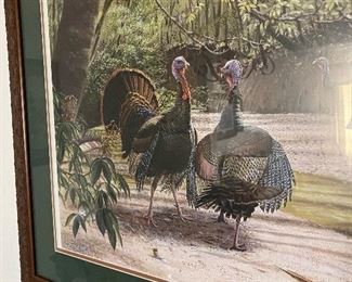 NWTF  framed  turkey print!