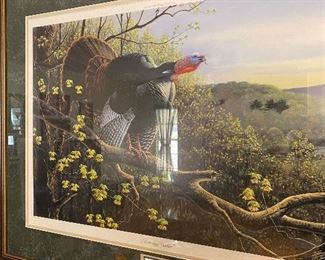 Super Signed and Numbered  NWTF  Turkey print