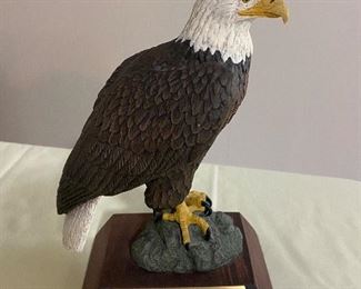American Bald Eagle!