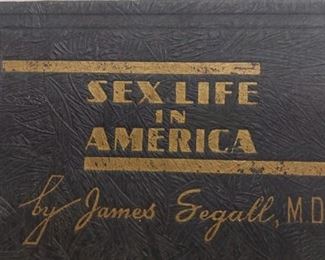 Sex Life in America