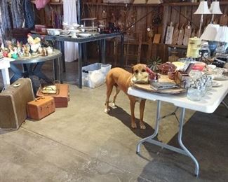 Dog is shopping. Not got sale.