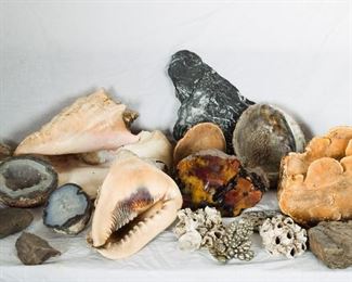 Geodes, minerals, fossils, shells...