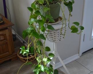 Ivy and plant stand