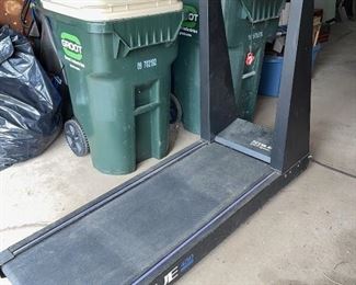 TRUE Model 450 Treadmill