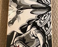 Vintage Birdhouse Tony Hawk Skateboard