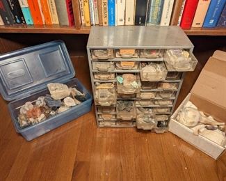 Rock and Shell Collection