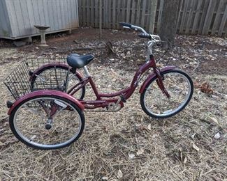Schwinn Meridian