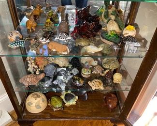 LARGE Turtle Collection