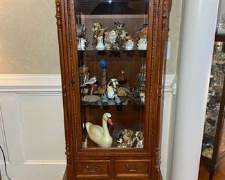 Display Case