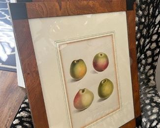 •	(4) c1830, antique Stone Lithographs of various fruits