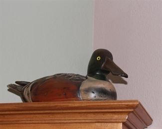 Tom Baker signed full size - huge! mallard from the 80's