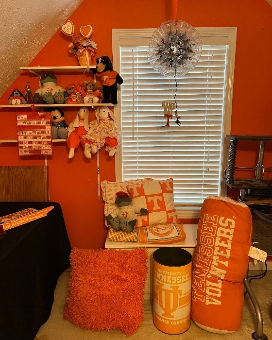 Some of the UT decor and toys